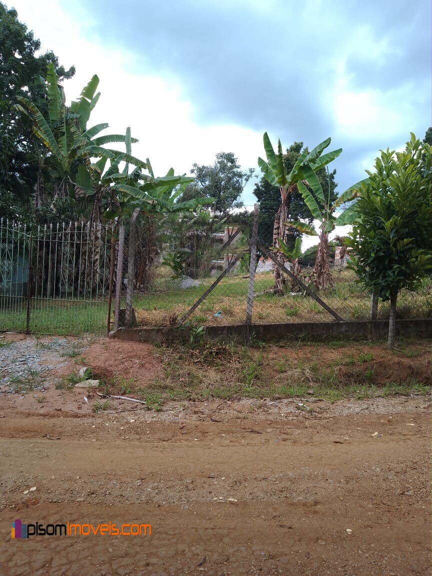 Fazenda à venda, 2000m² - Foto 6