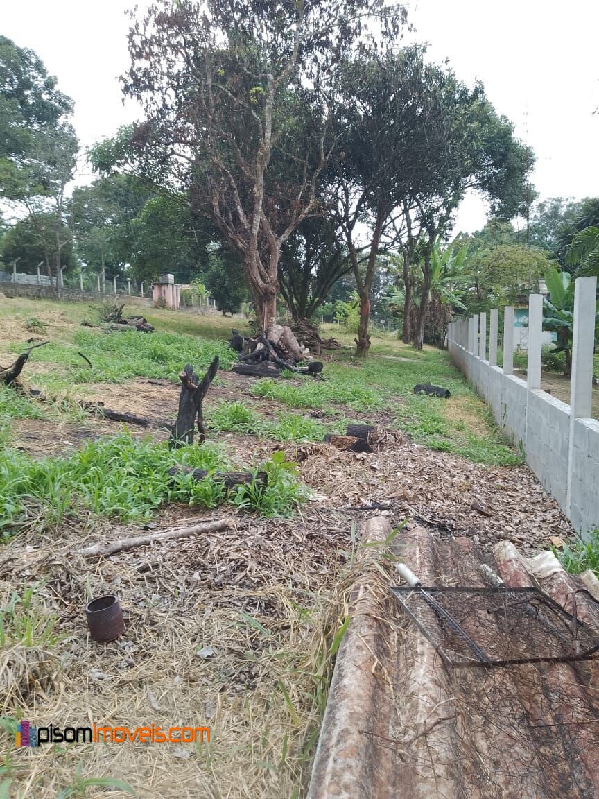 Fazenda à venda, 2000m² - Foto 3