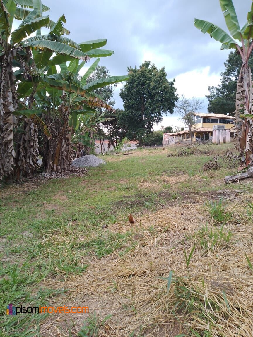 Fazenda à venda, 2000m² - Foto 5