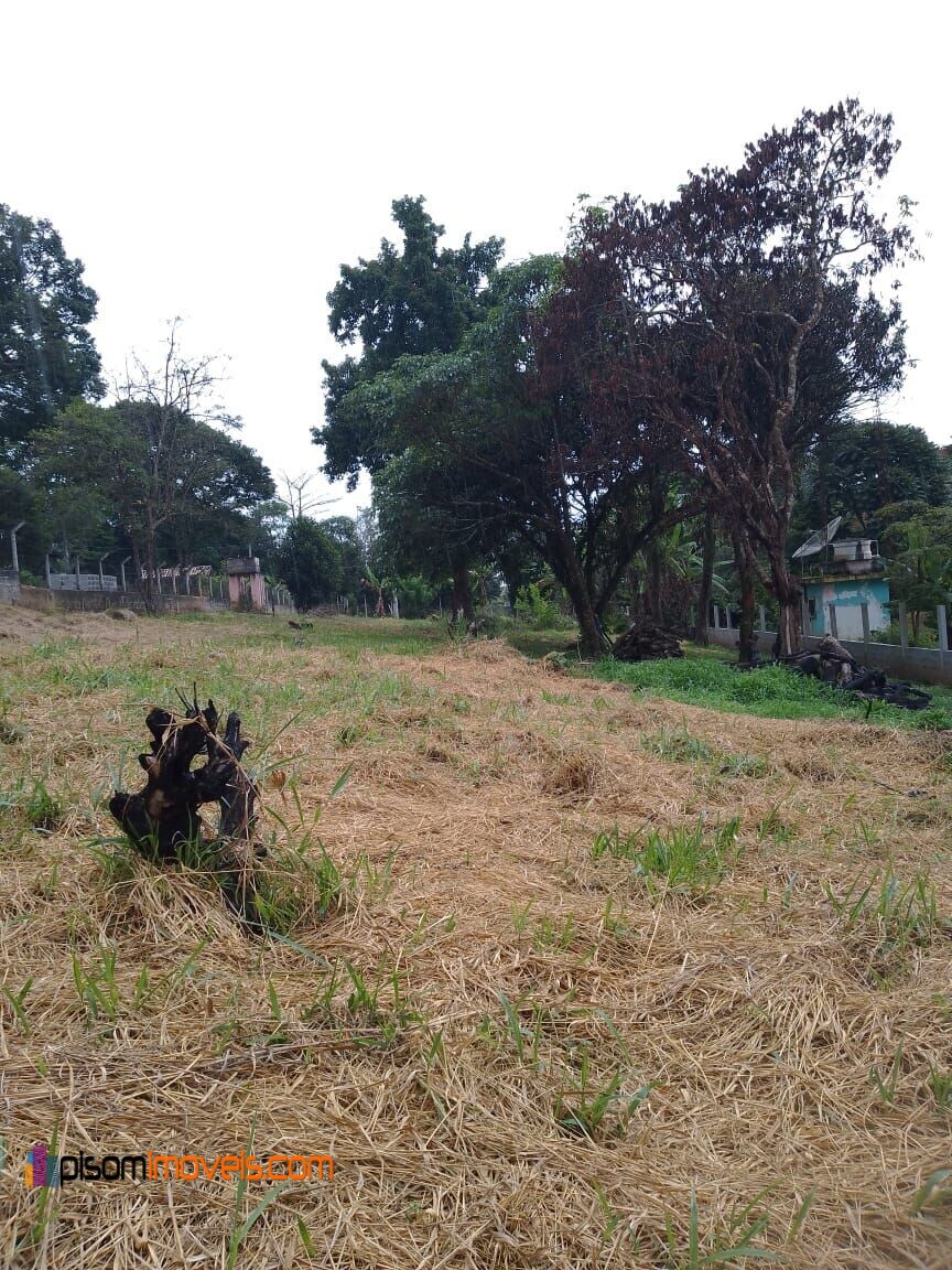 Fazenda à venda, 2000m² - Foto 7