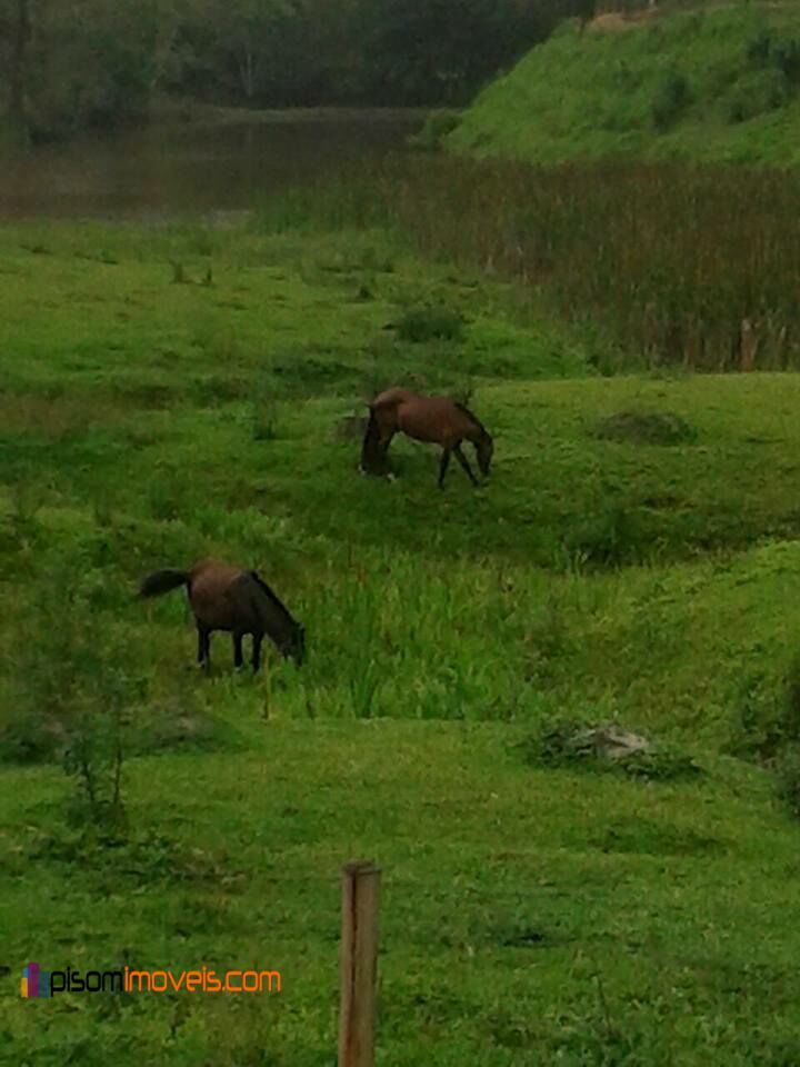 Fazenda à venda, 242000m² - Foto 14