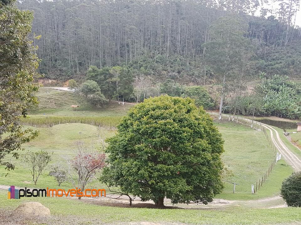 Fazenda à venda, 242000m² - Foto 12