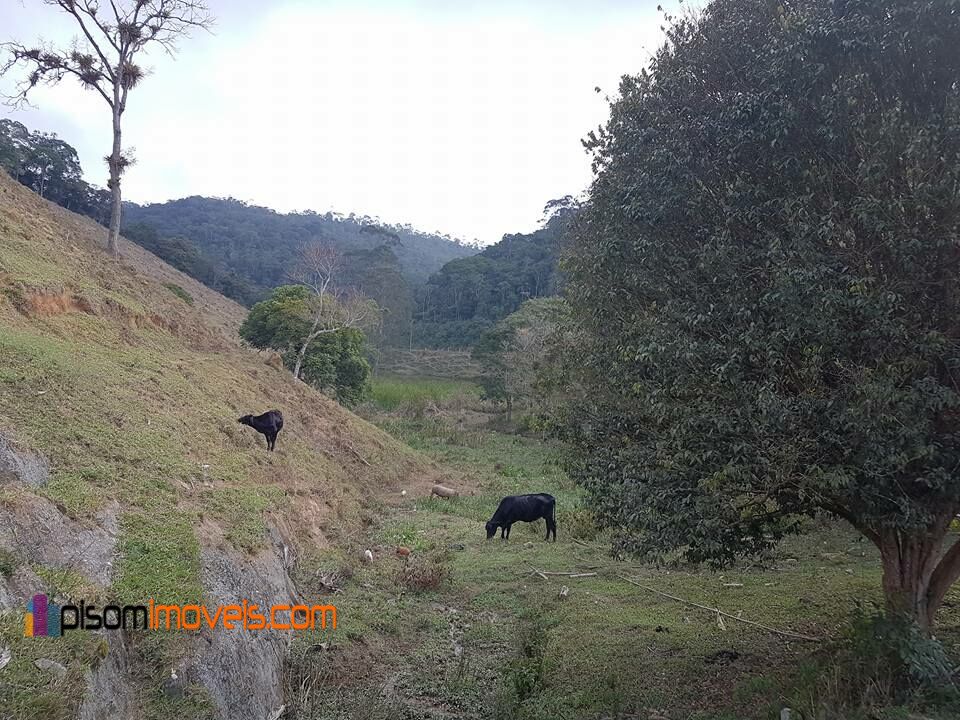 Fazenda à venda, 242000m² - Foto 13