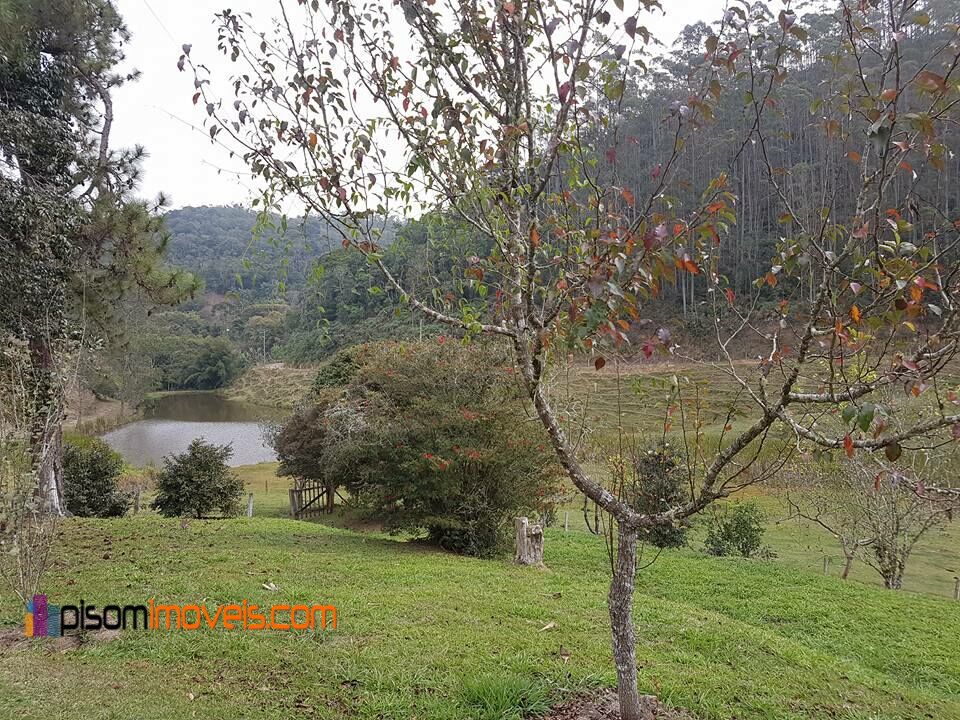 Fazenda à venda, 242000m² - Foto 18