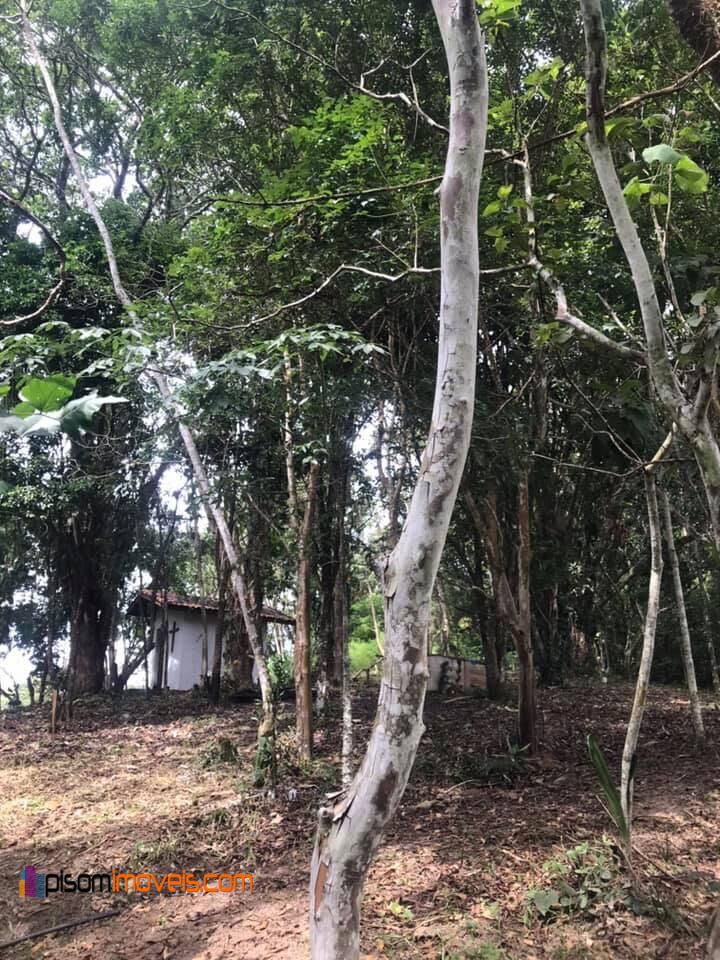 Fazenda à venda com 4 quartos, 24200m² - Foto 20