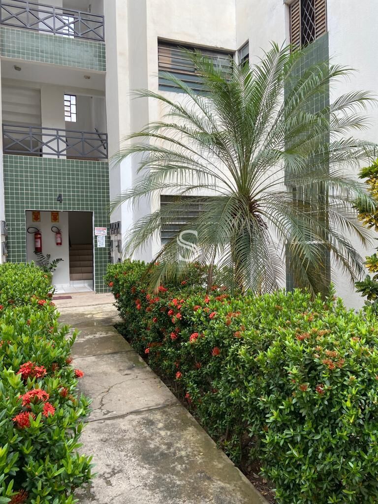 Apartamento à venda com 3 quartos, 49m² - Foto 32