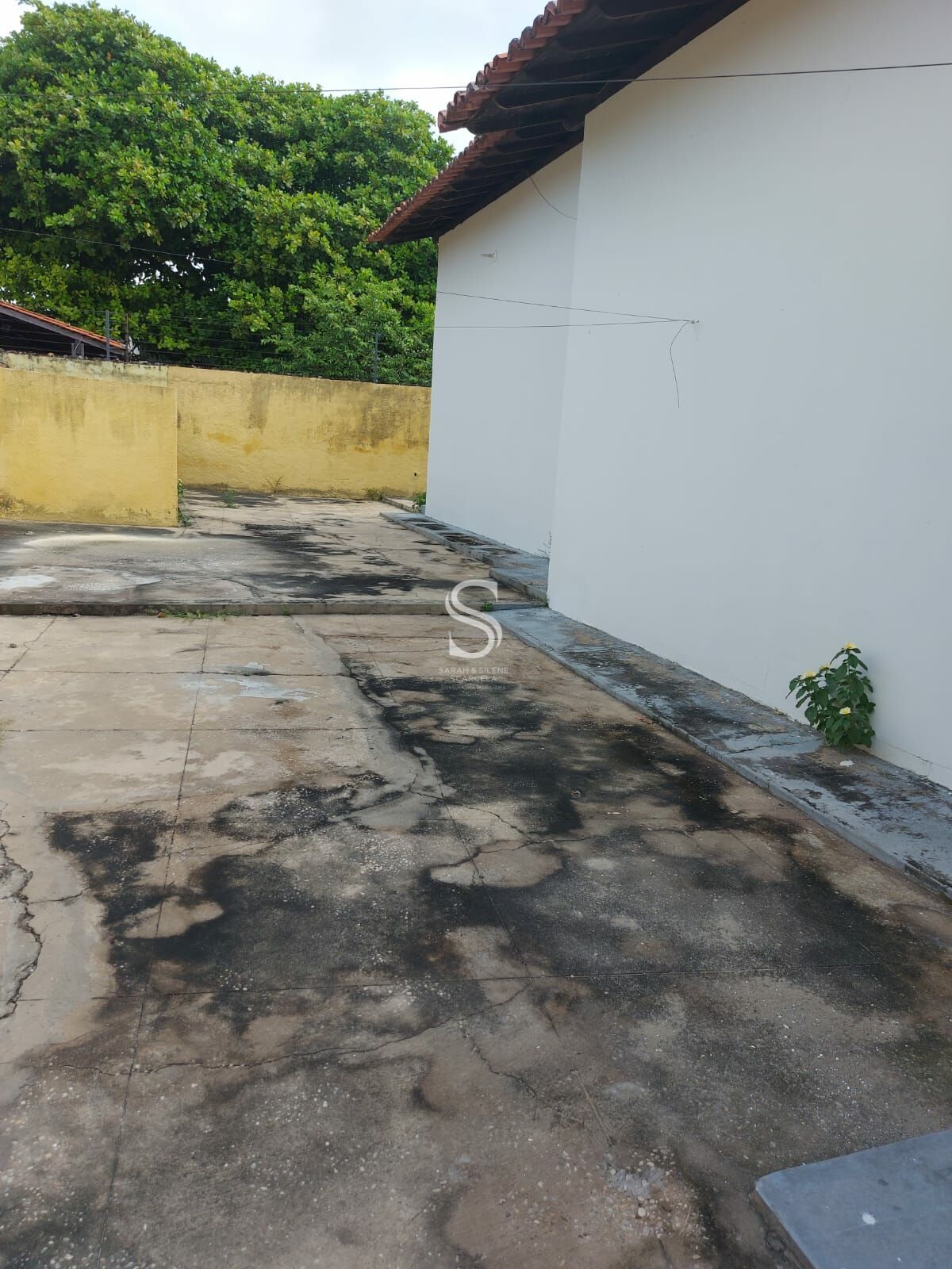 Casa, 4 quartos, 497 m² - Foto 42