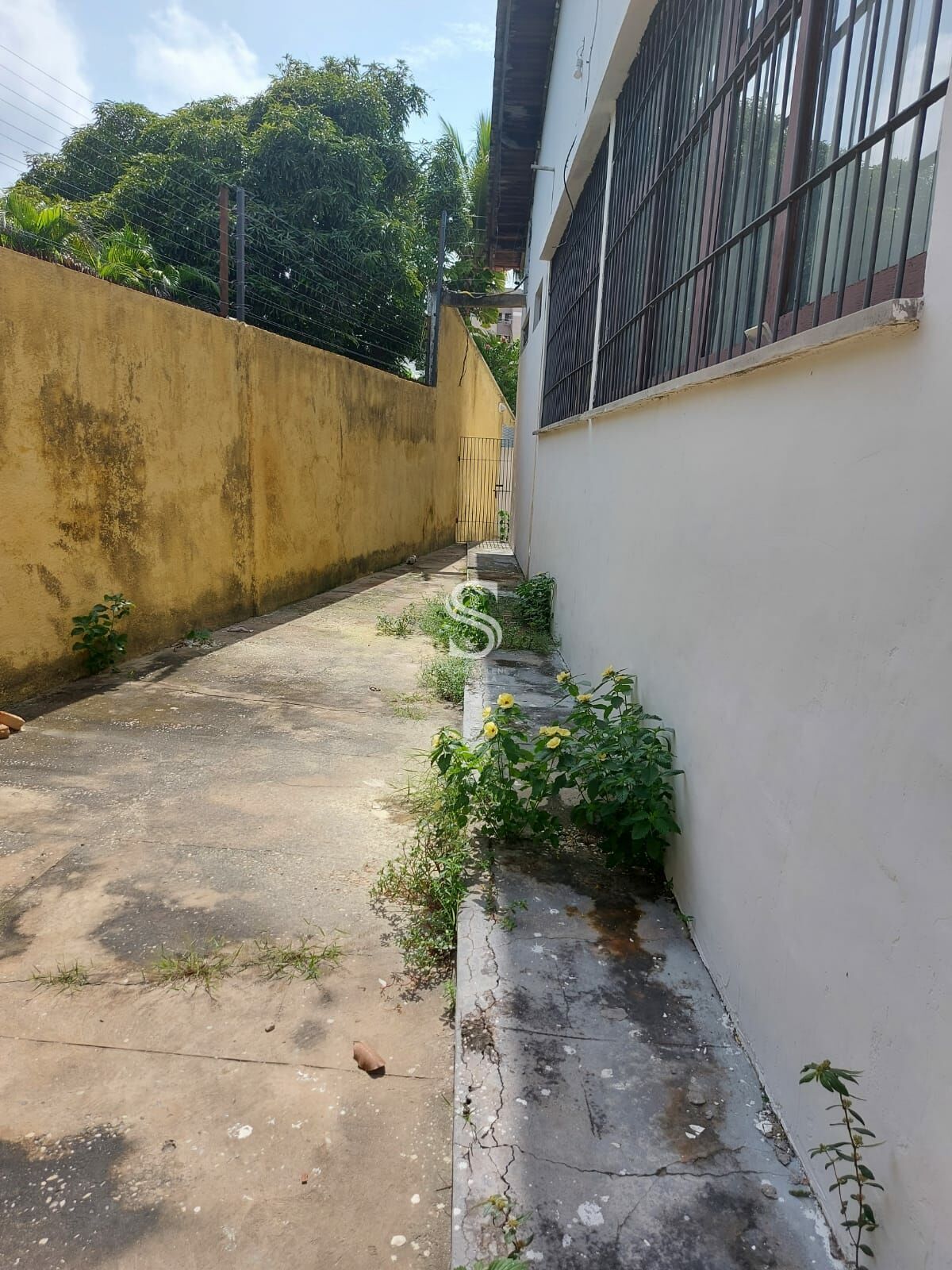 Casa, 4 quartos, 497 m² - Foto 44