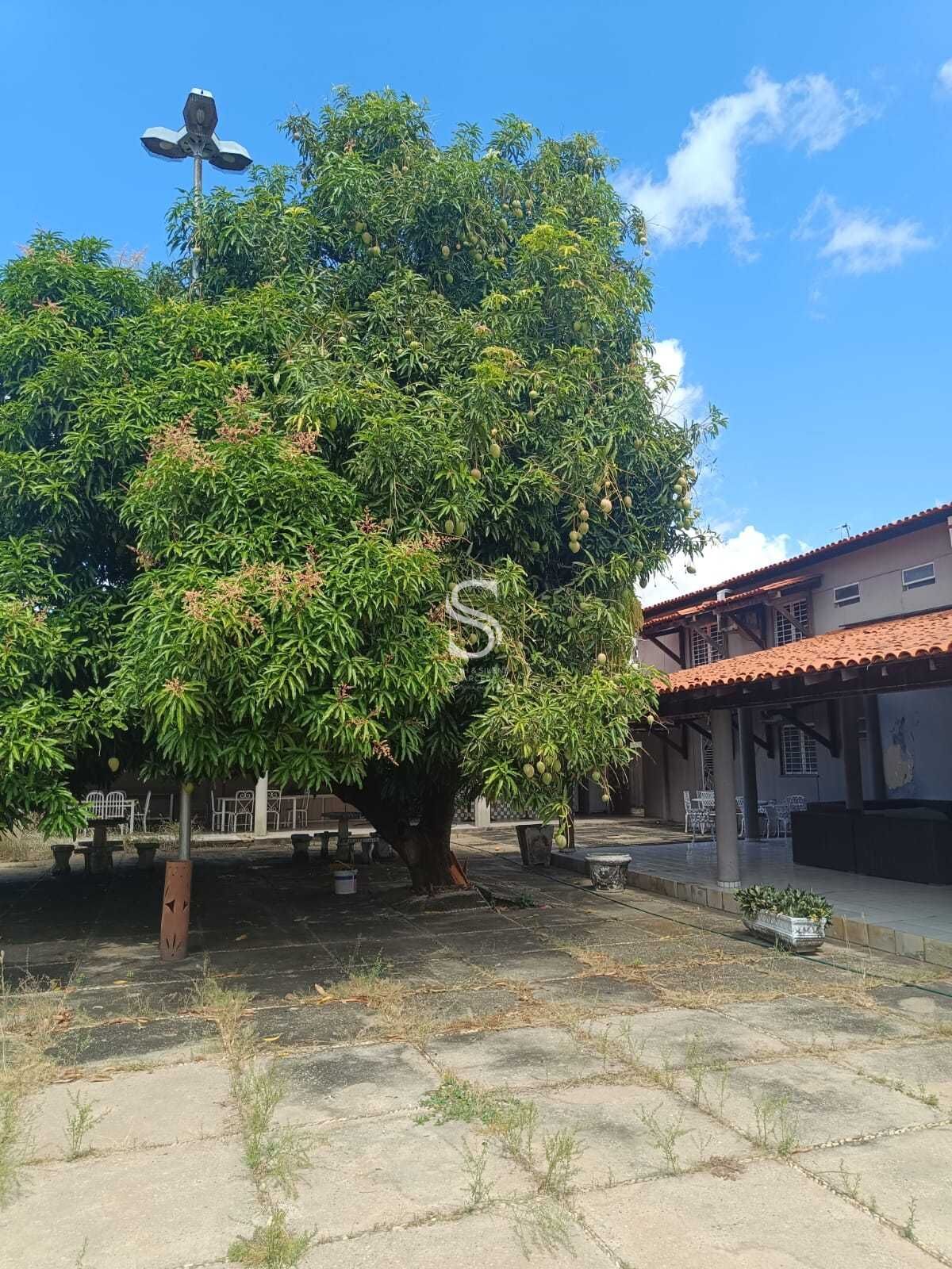 Casa, 3 quartos, 258 m² - Foto 6