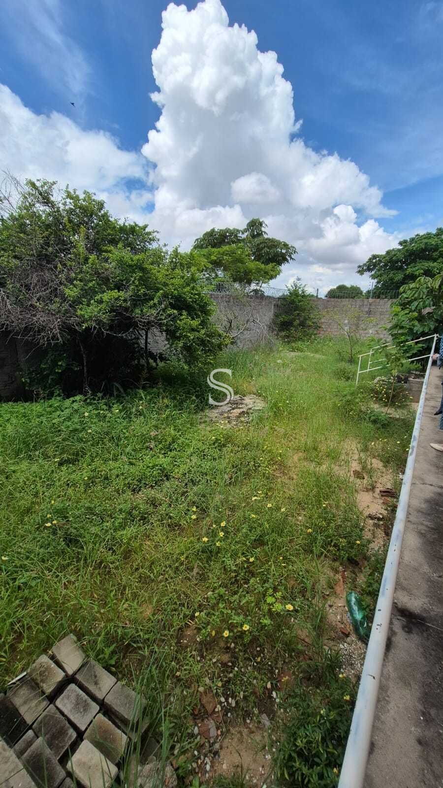 Casa, 4 quartos, 30 m² - Foto 30
