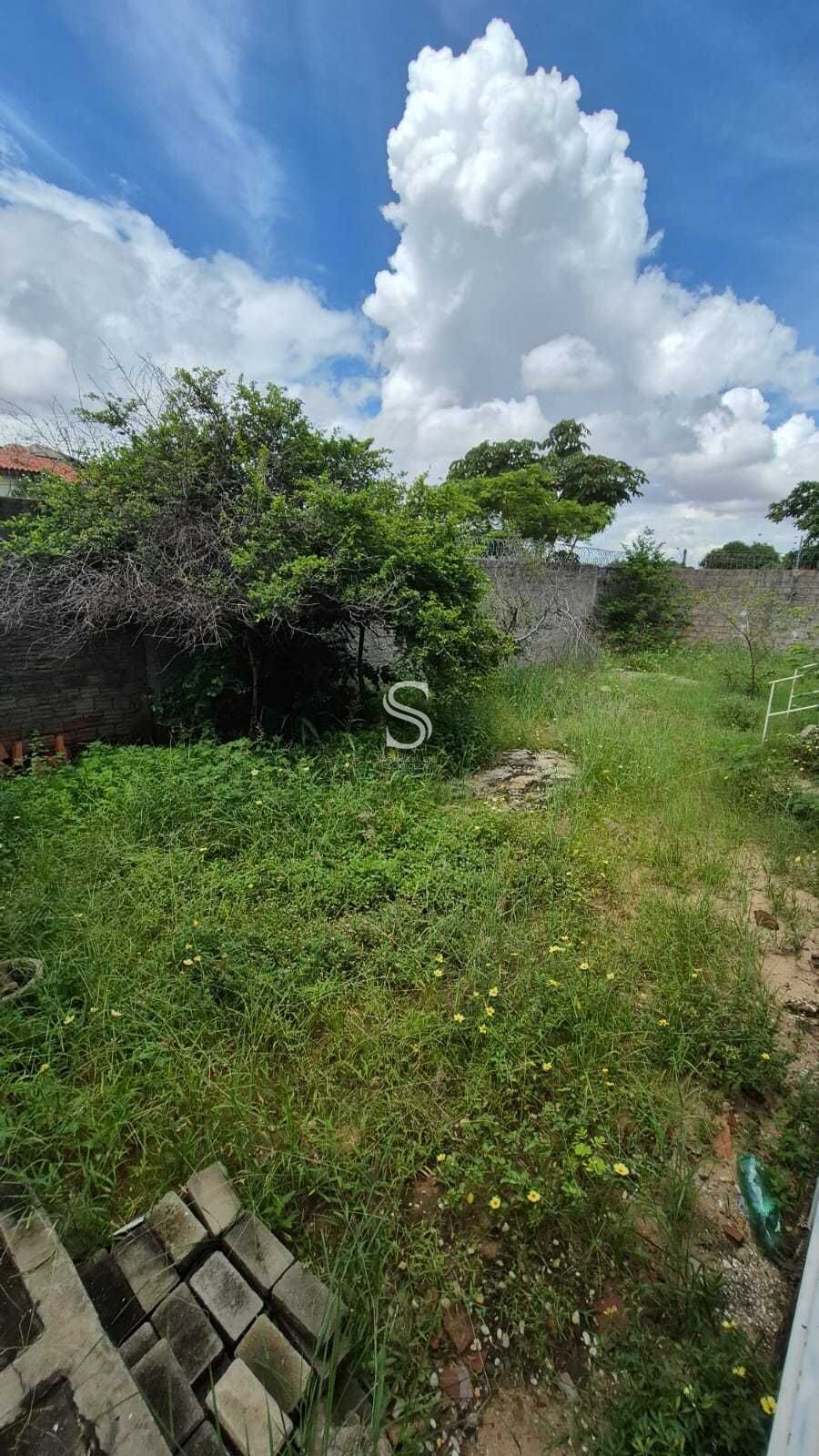 Casa, 4 quartos, 30 m² - Foto 32