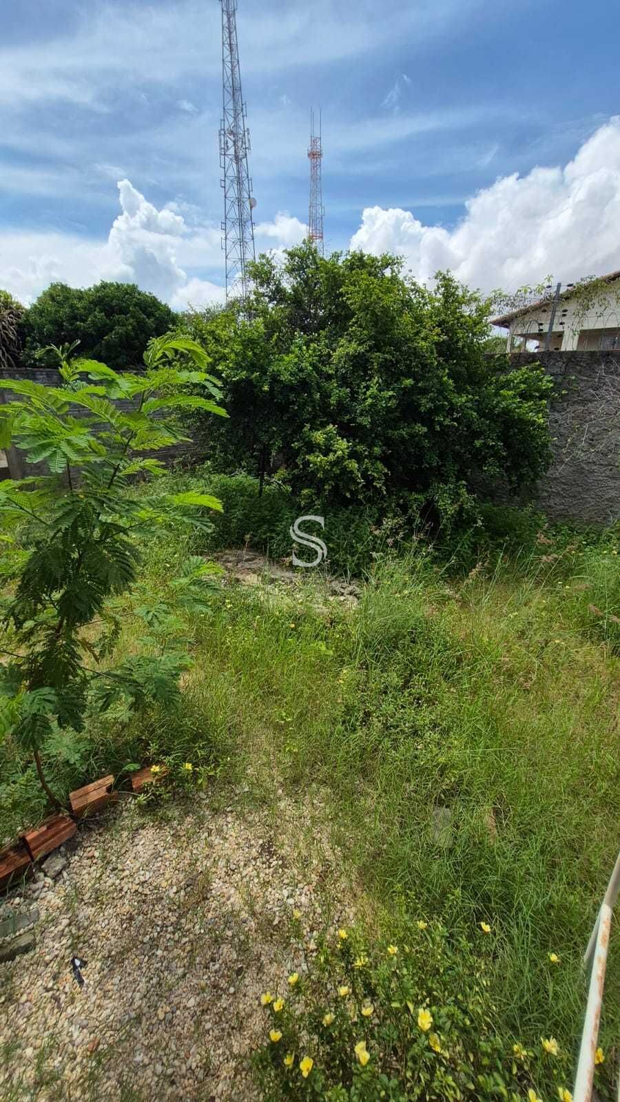 Casa, 4 quartos, 30 m² - Foto 27