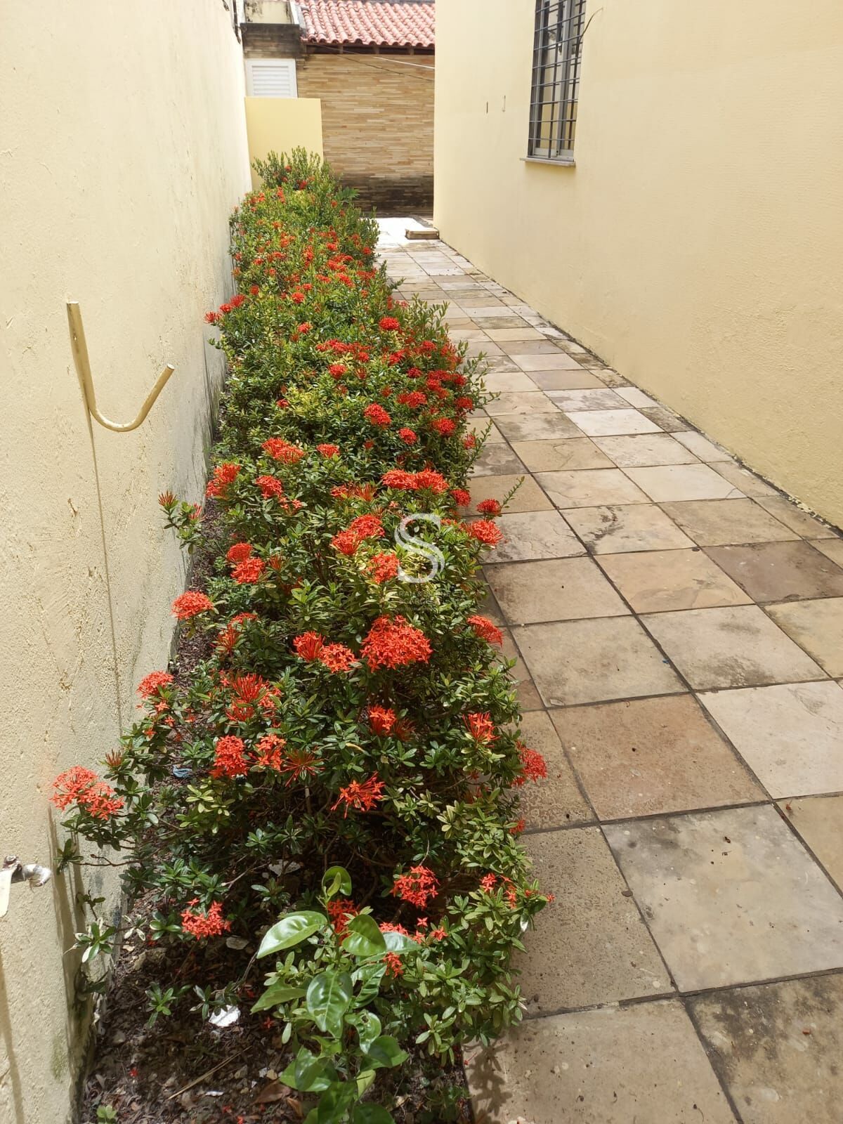 Casa à venda com 4 quartos, 250m² - Foto 45