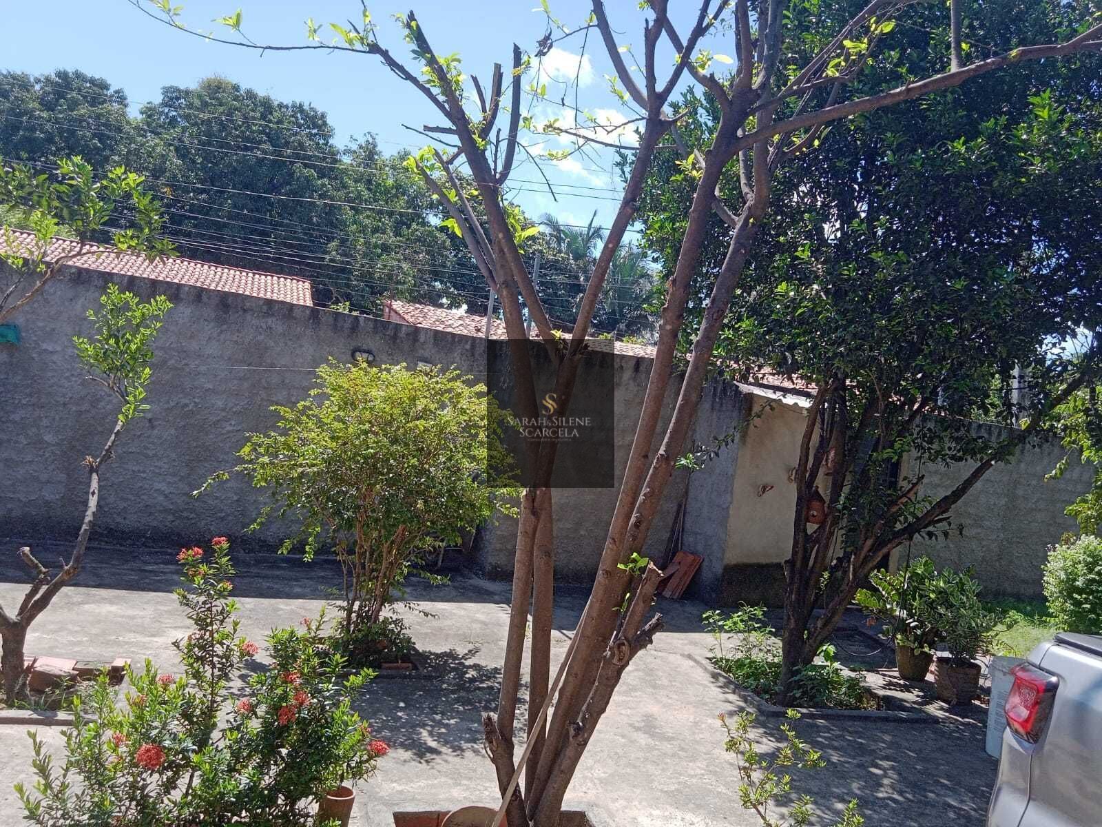 Fazenda à venda com 3 quartos, 80m² - Foto 11