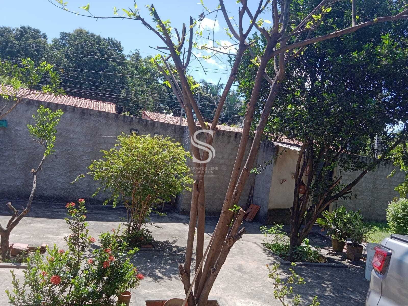 Sítio à venda com 3 quartos, 80m² - Foto 11