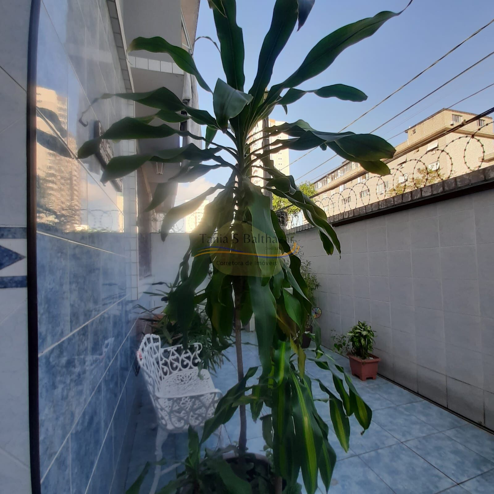 Sobrado, 3 quartos, 113 m² - Foto 33