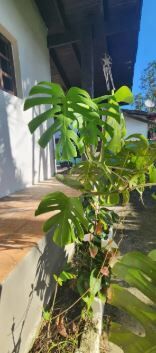 Casa, 2 quartos, 100 m² - Foto 7