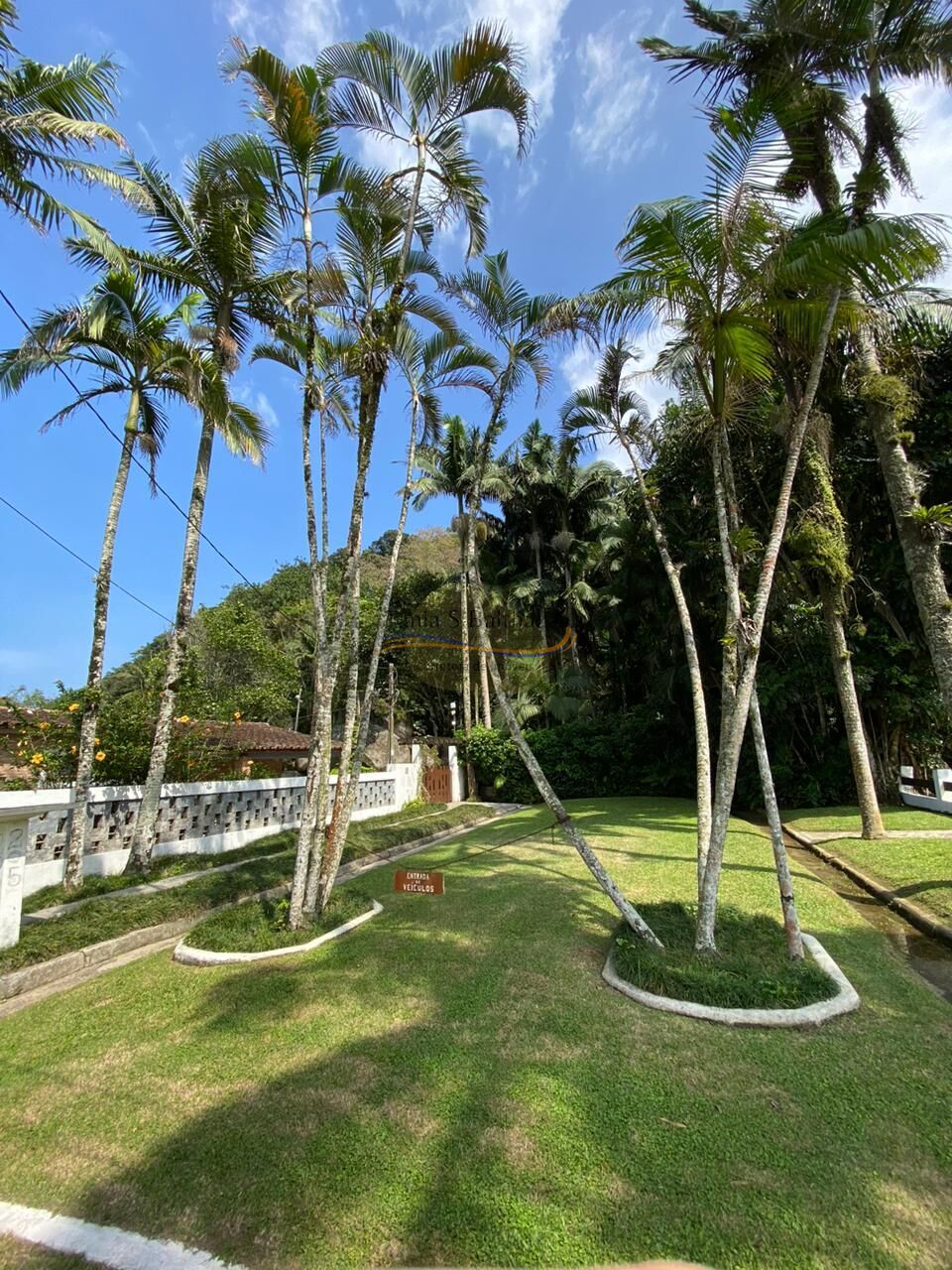 Casa, 3 quartos, 300 m² - Foto 41