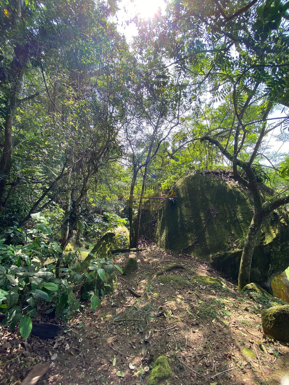 Casa, 3 quartos, 300 m² - Foto 44