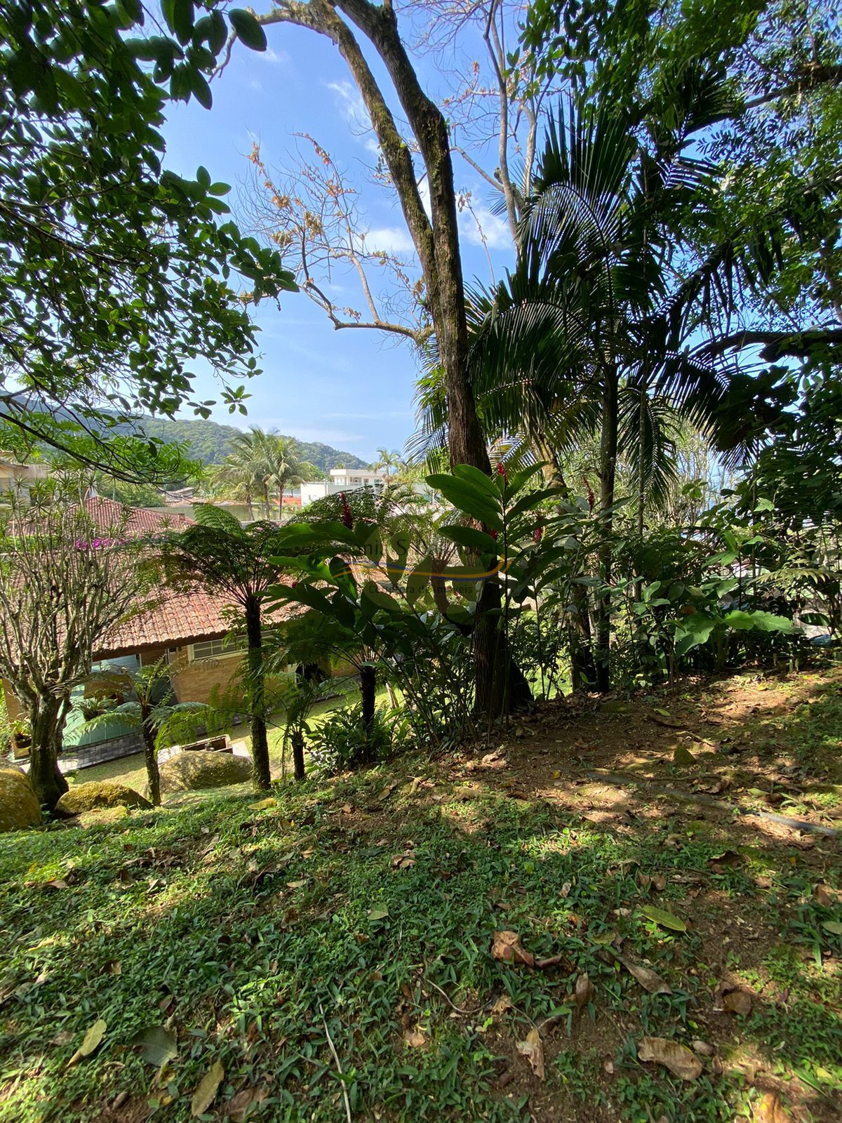 Casa, 3 quartos, 300 m² - Foto 43