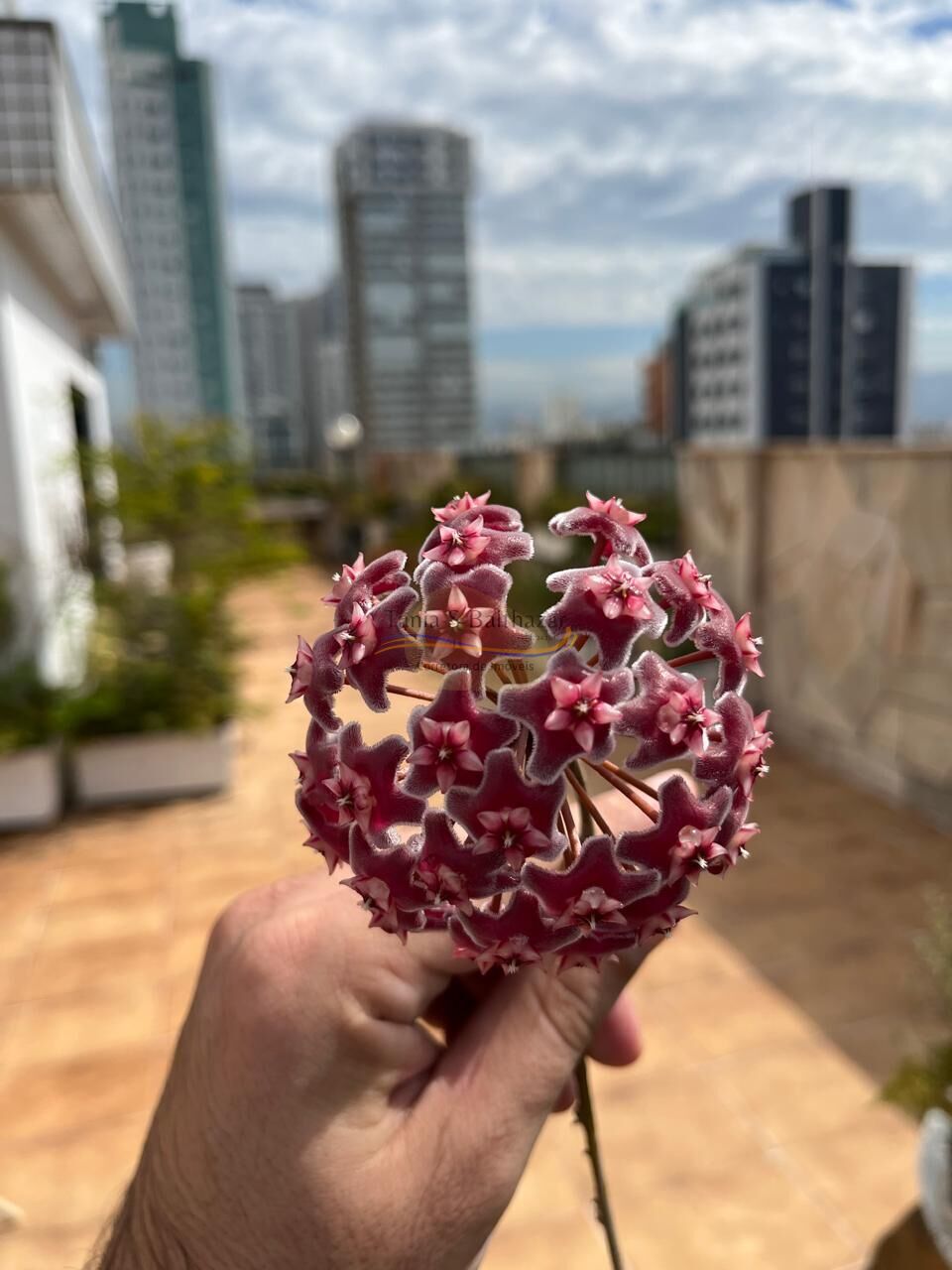 Cobertura, 4 quartos, 361 m² - Foto 49