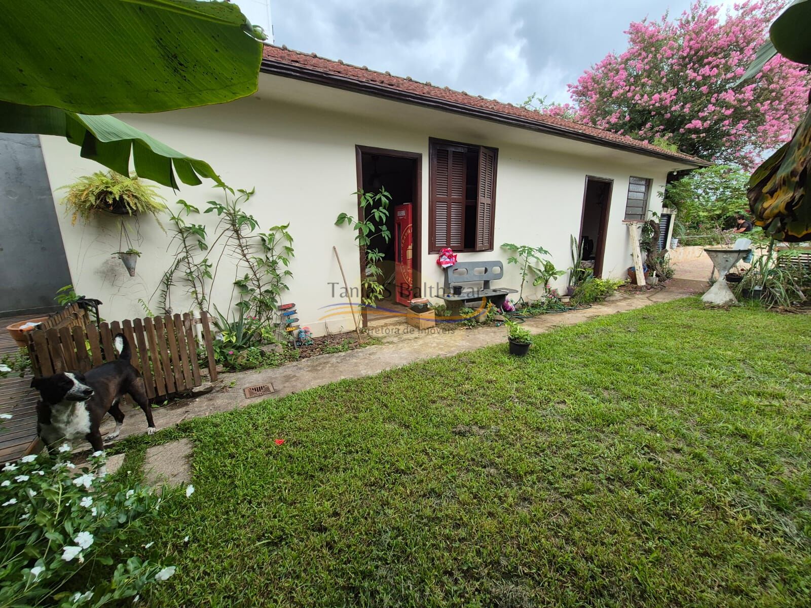 Casa, 5 quartos, 230 m² - Foto 7