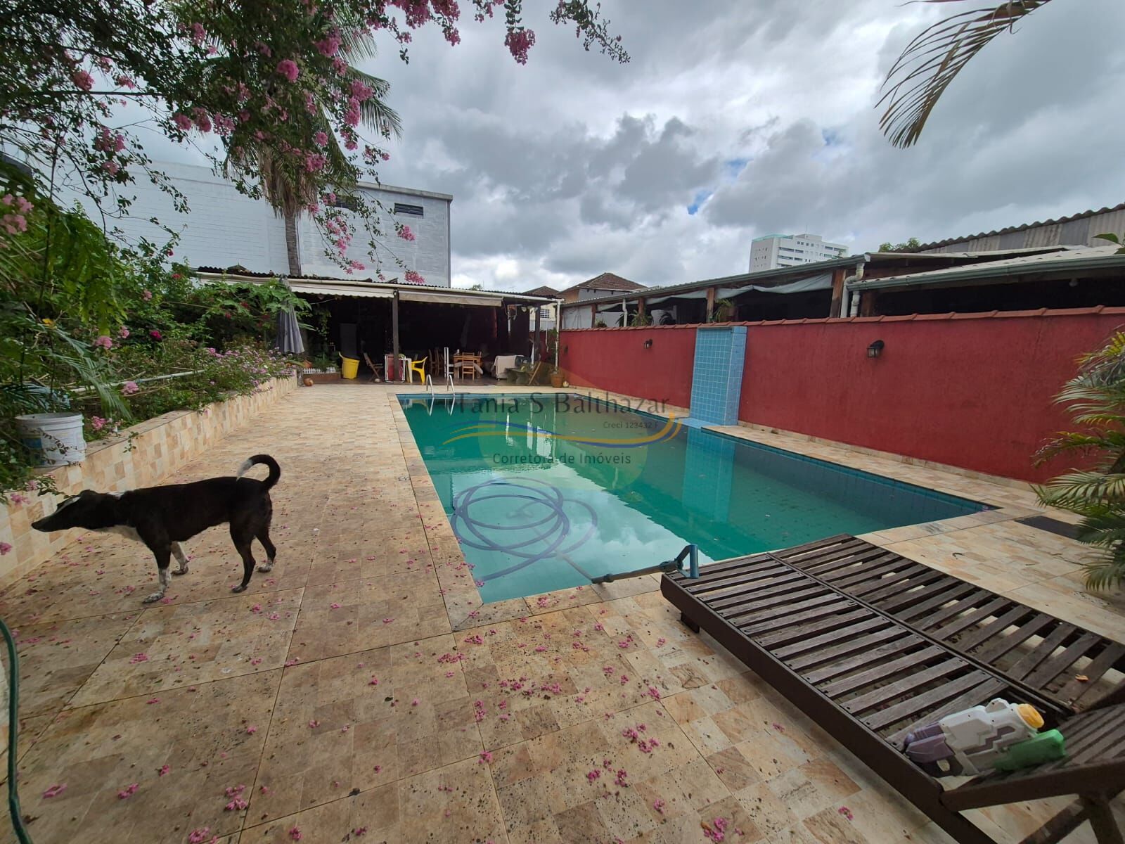 Casa, 5 quartos, 230 m² - Foto 38