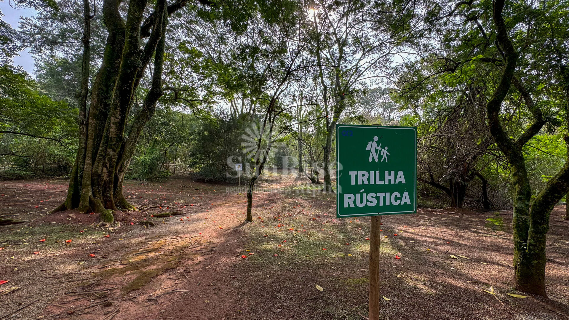 Casa, 4 quartos, 550 m² - Foto 50