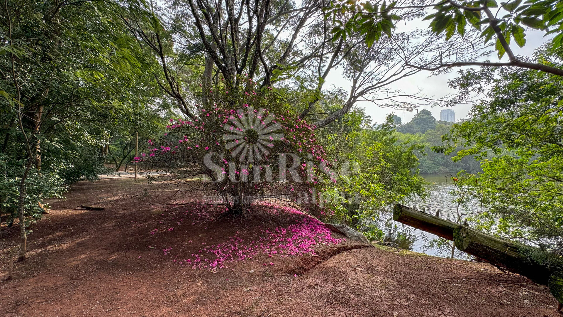 Casa para alugar com 4 quartos, 600m² - Foto 43