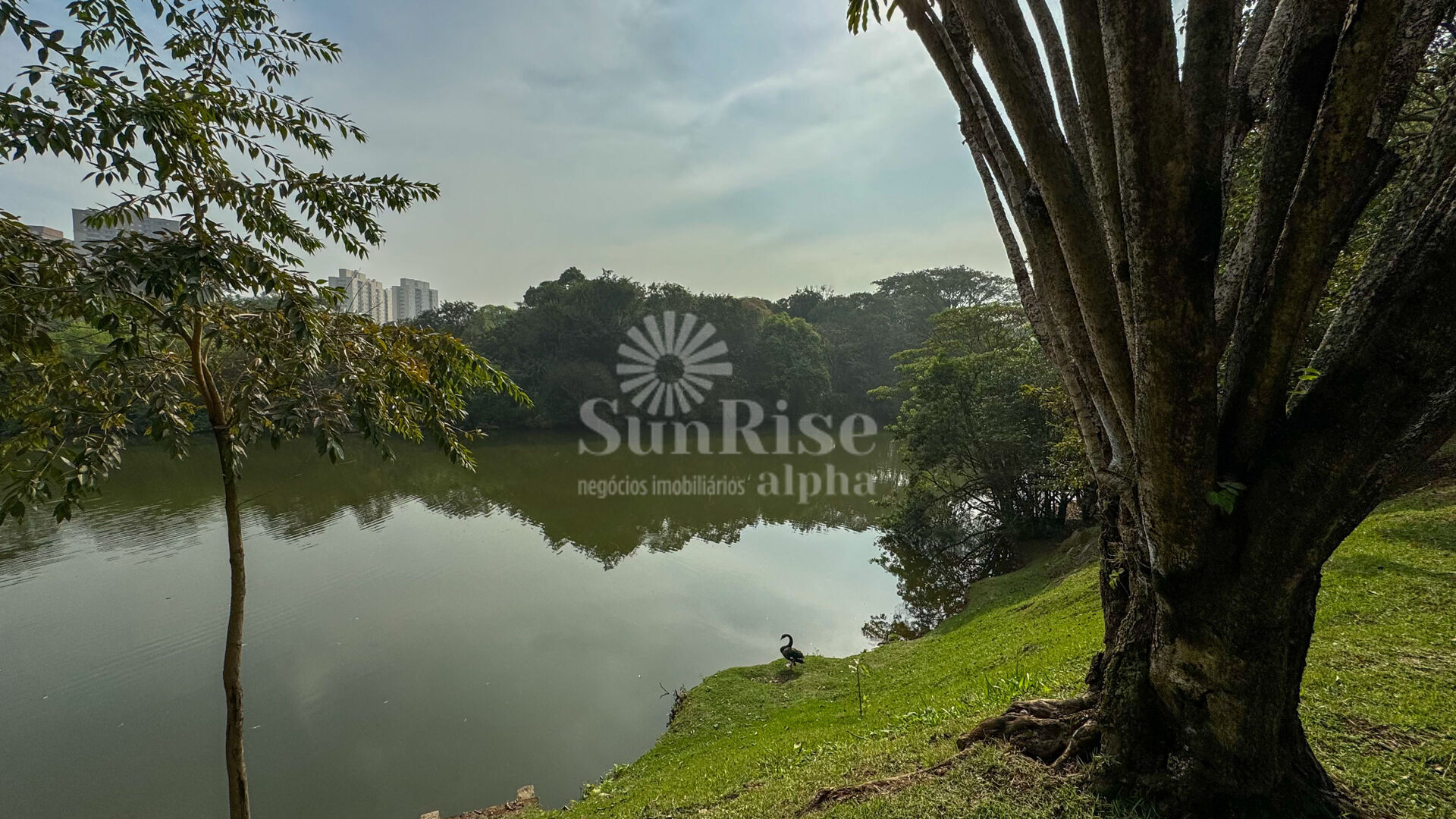 Casa, 4 quartos, 550 m² - Foto 35