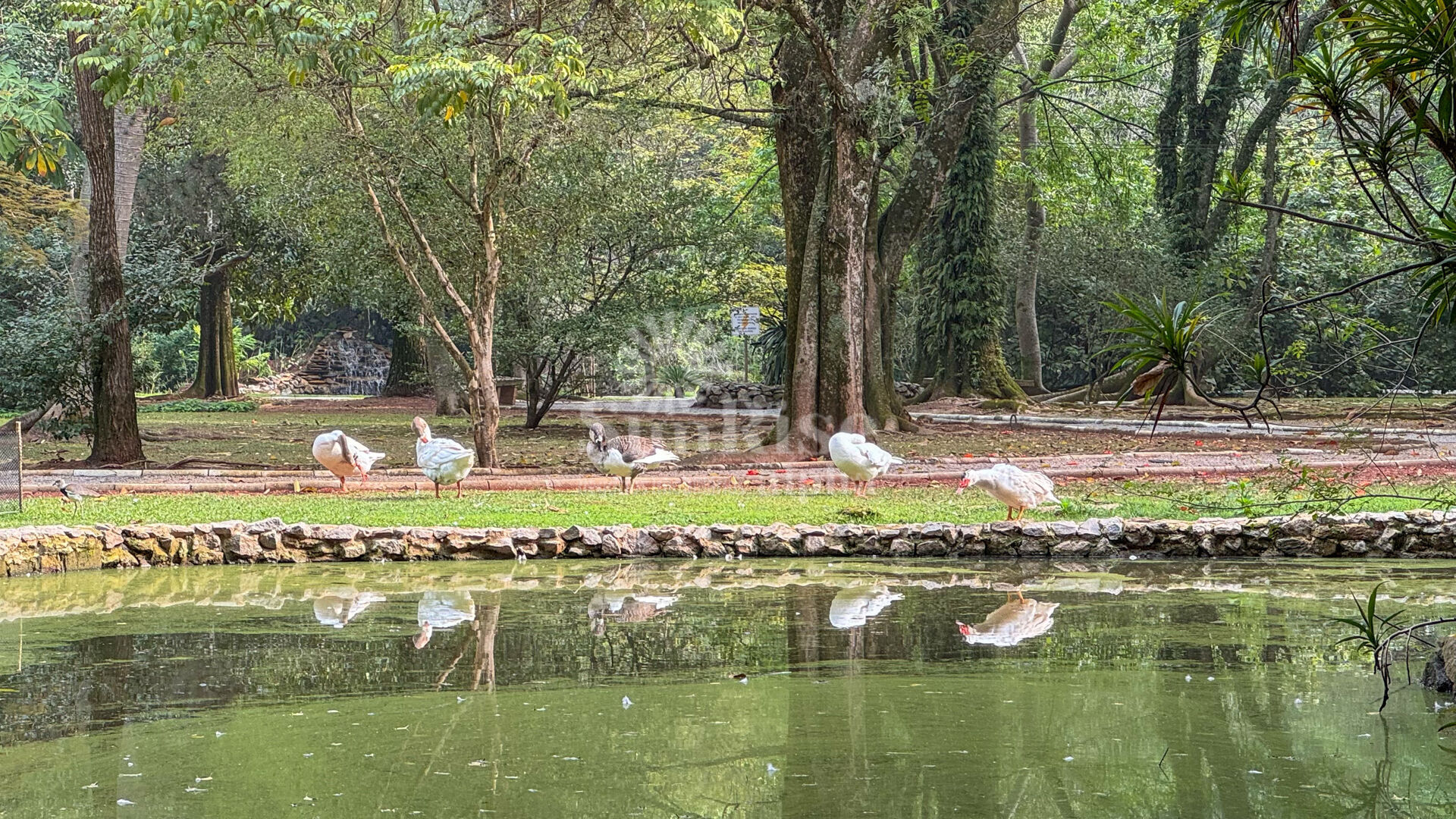 Casa, 4 quartos, 550 m² - Foto 49