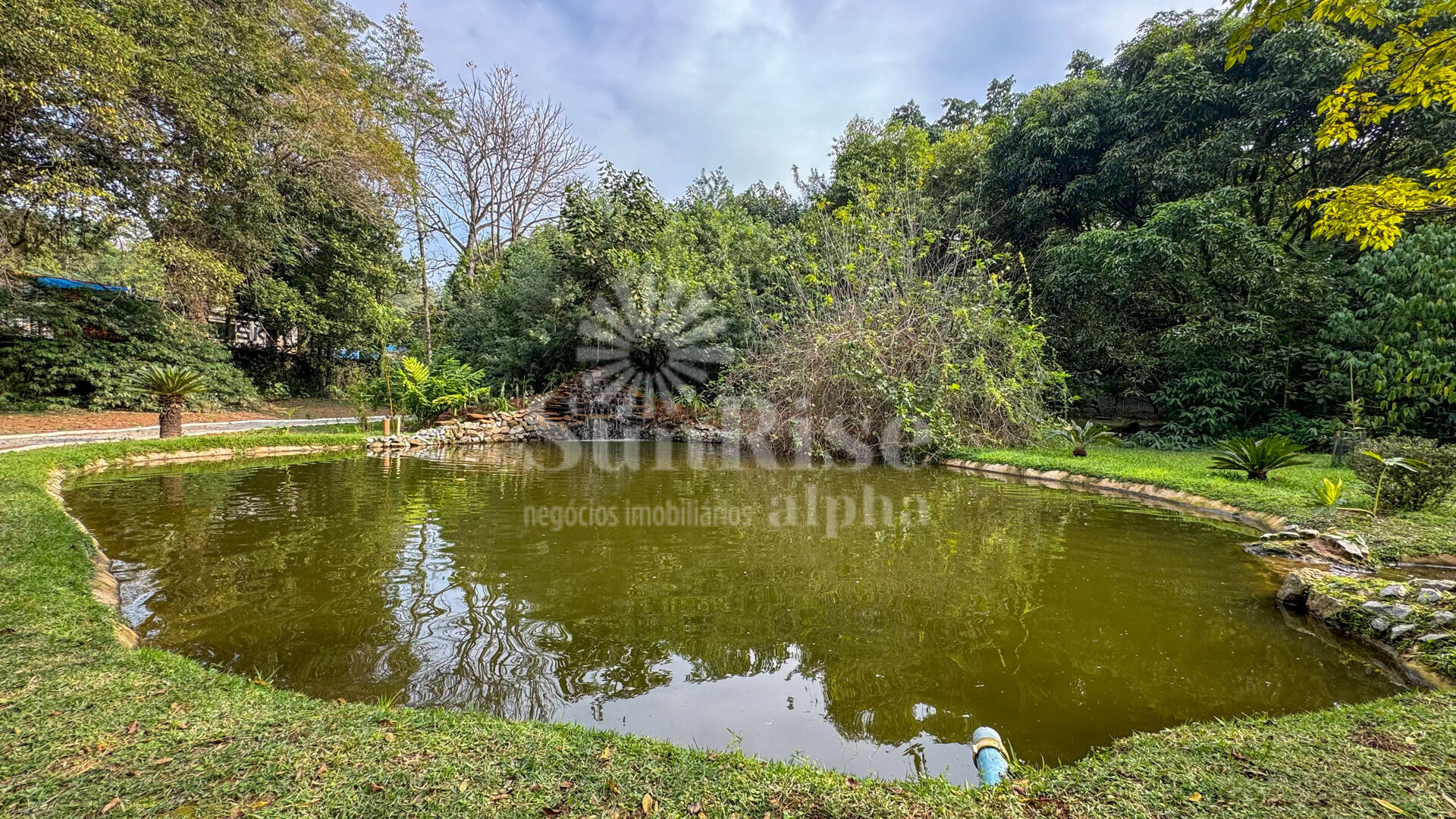 Casa para alugar com 4 quartos, 600m² - Foto 50