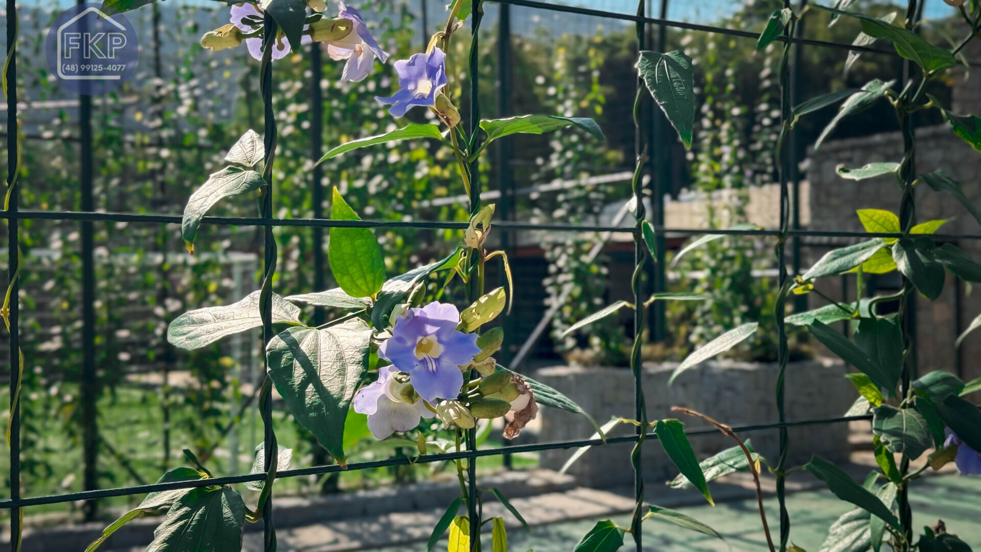 Terreno, 400 m² - Foto 46