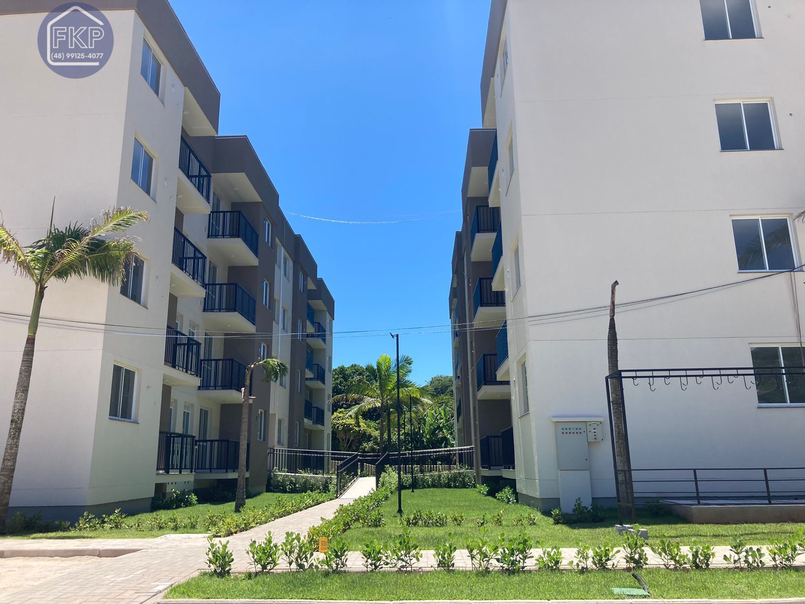 Apartamento à venda com 2 quartos, 55m² - Foto 25