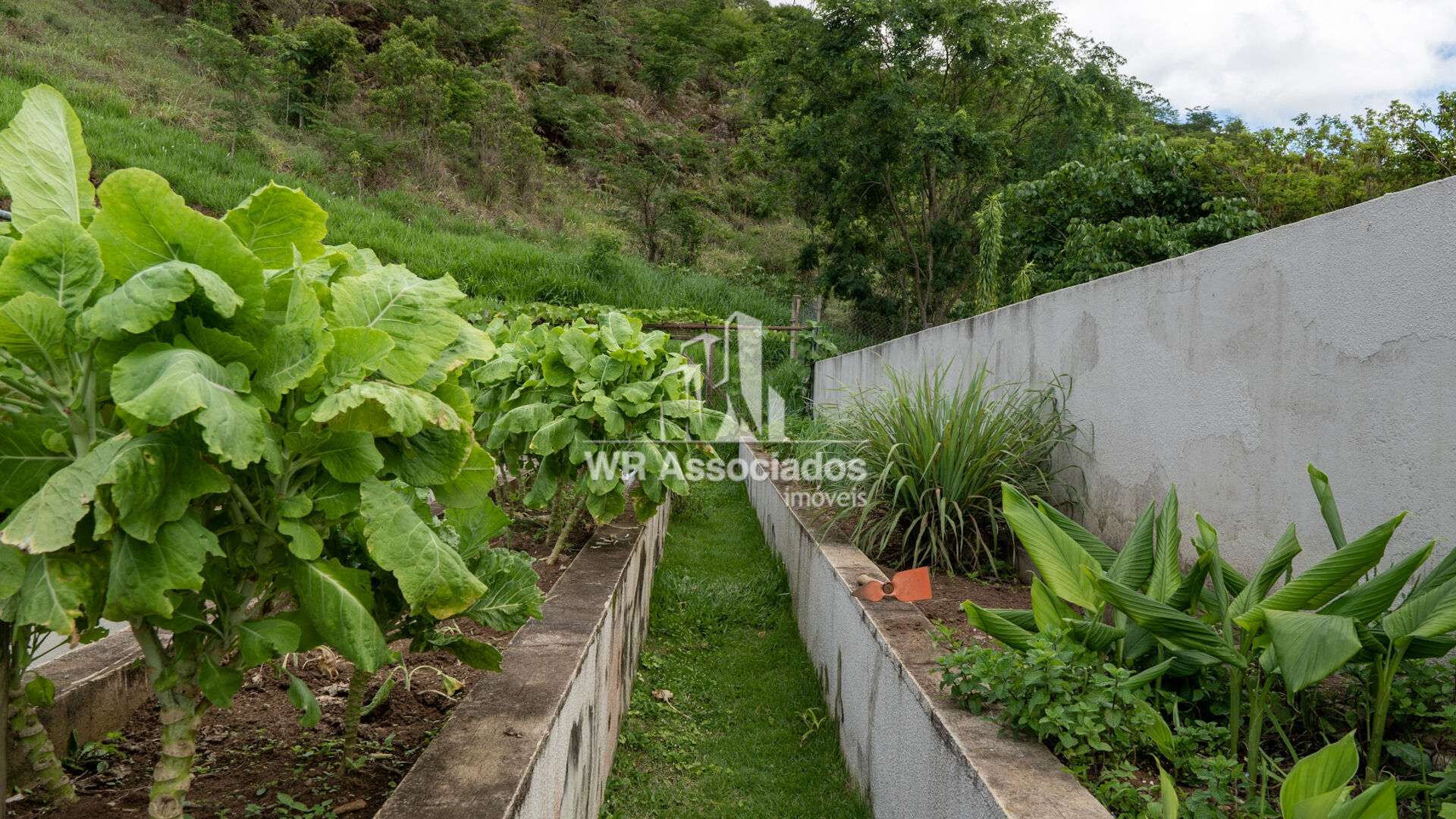 Casa para alugar com 8 quartos, 2200m² - Foto 46