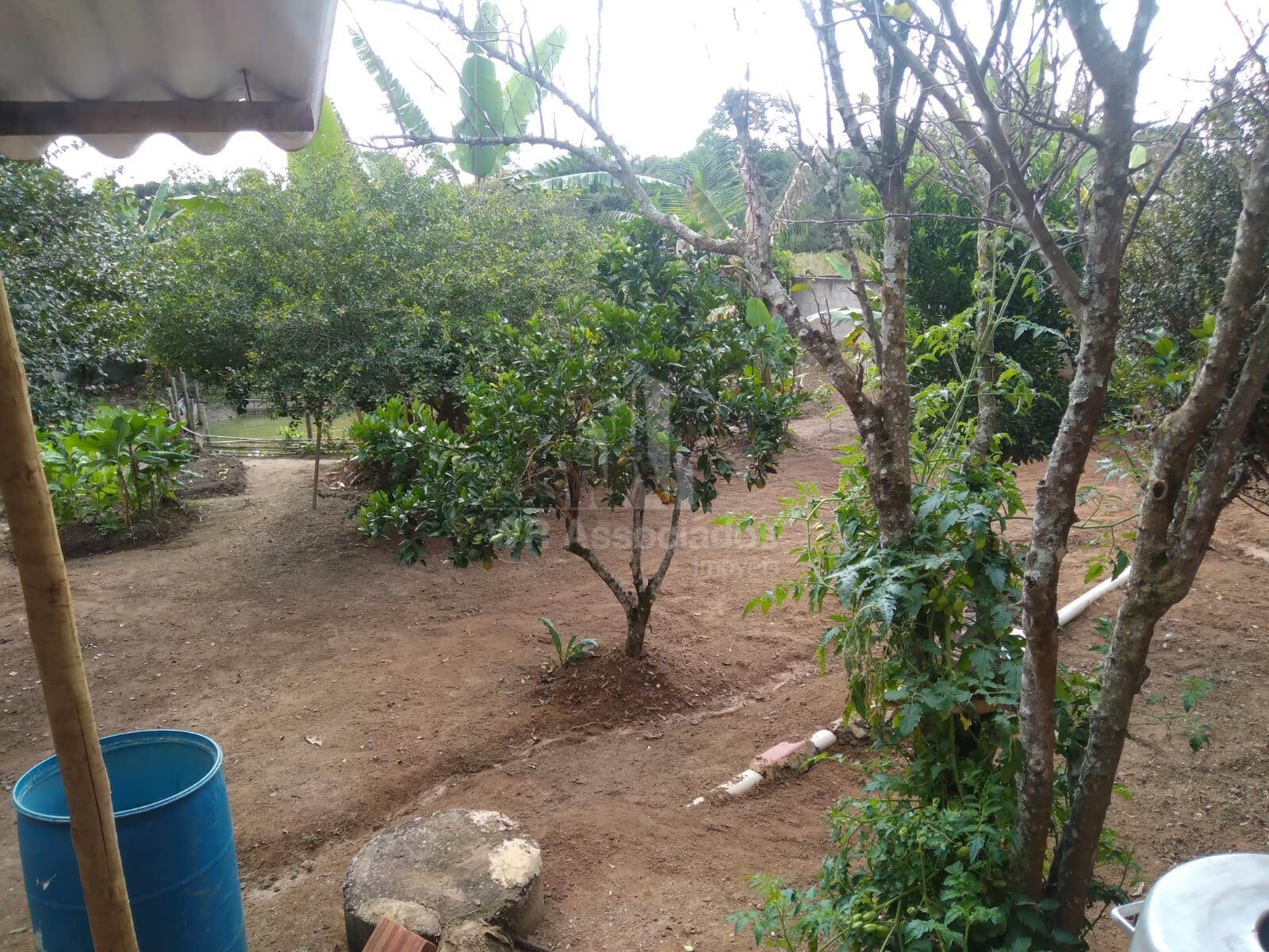 Chácara, 2 quartos, 995 m² - Foto 17