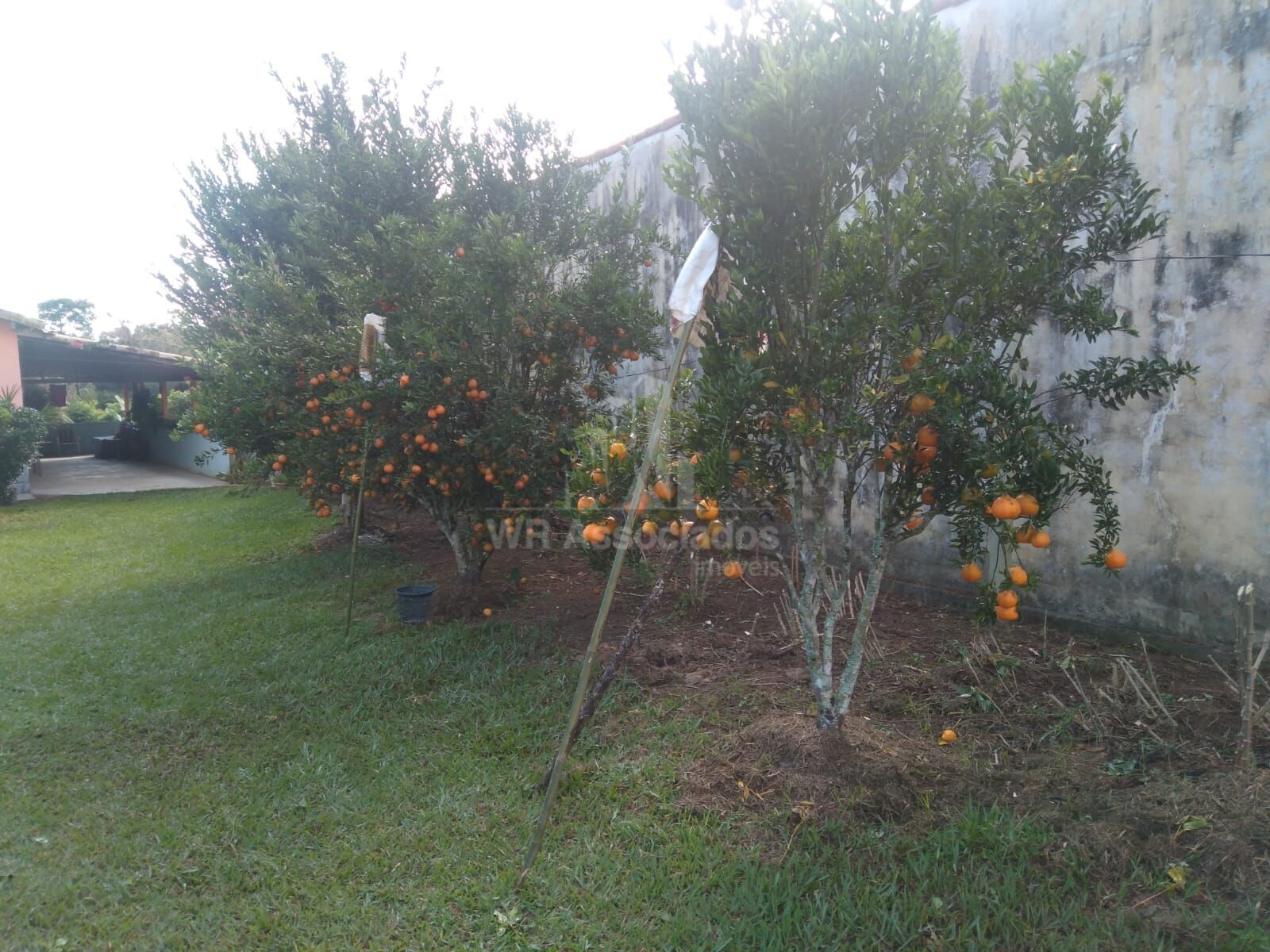 Chácara, 2 quartos, 995 m² - Foto 3