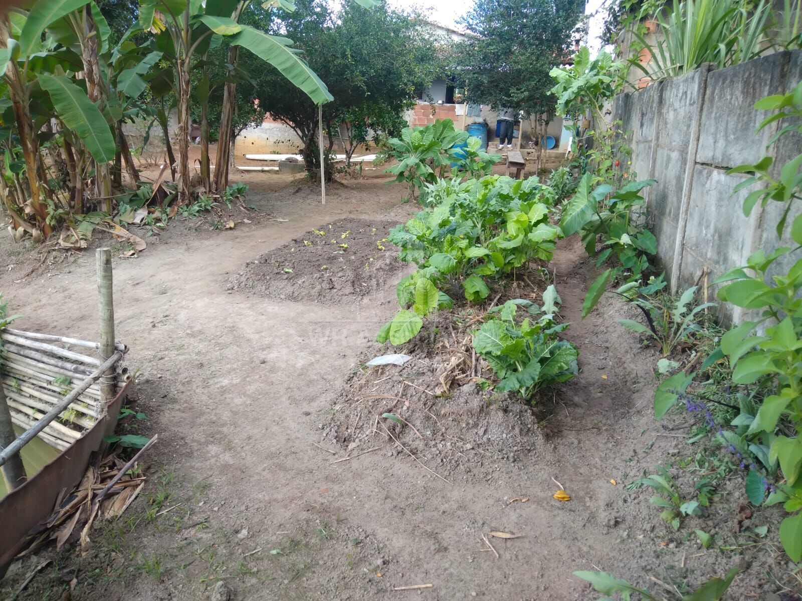 Chácara, 2 quartos, 995 m² - Foto 18