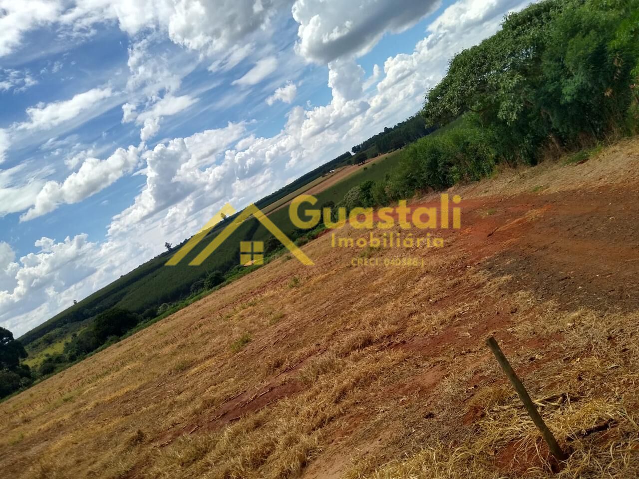 Chácara à venda com 2 quartos, 48000m² - Foto 31