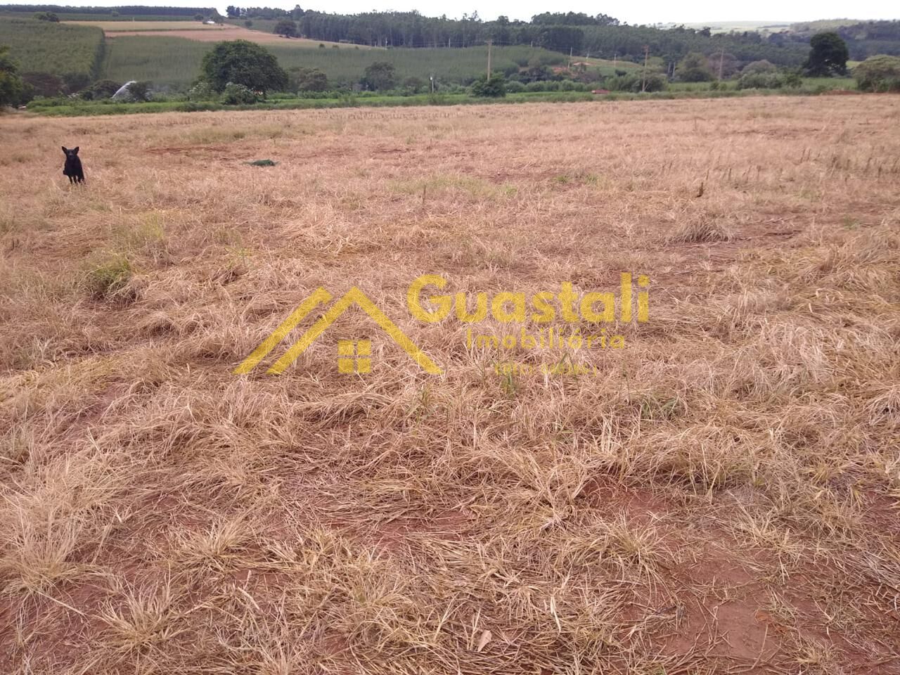 Chácara à venda com 2 quartos, 48000m² - Foto 33