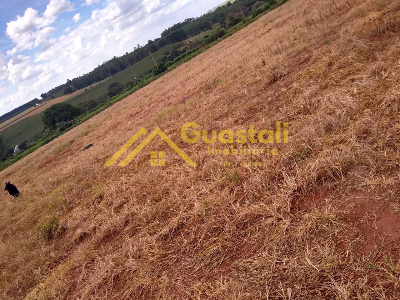 Chácara à venda com 2 quartos, 48000m² - Foto 32