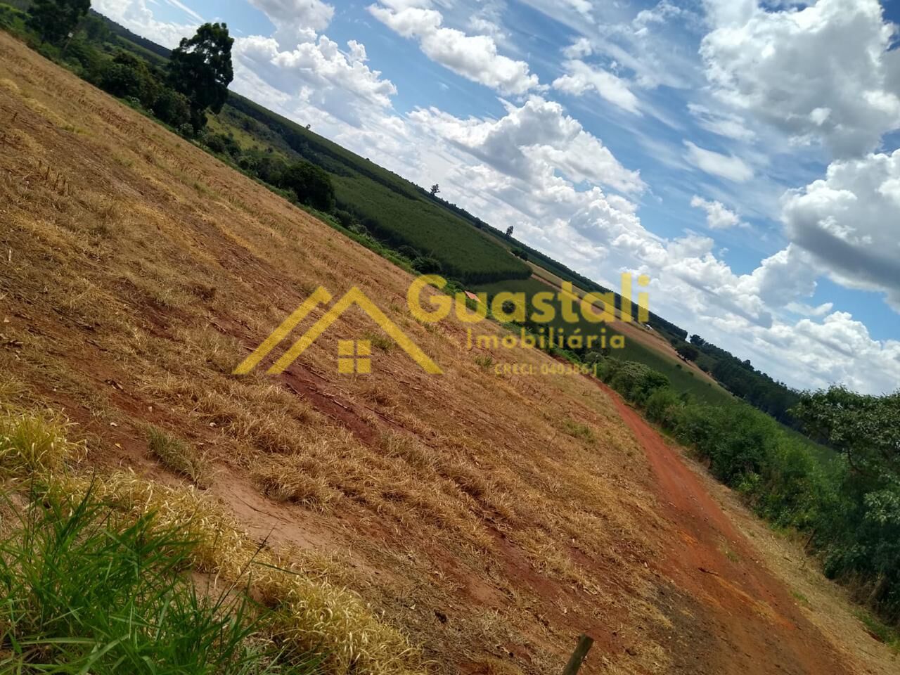 Chácara à venda com 2 quartos, 48000m² - Foto 30
