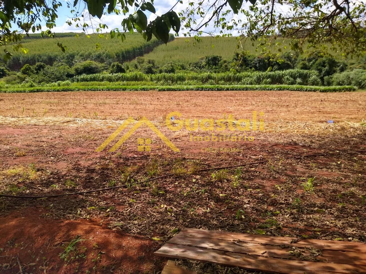 Chácara à venda com 2 quartos, 48000m² - Foto 29