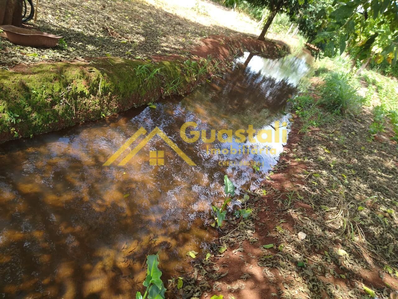 Chácara à venda com 2 quartos, 48000m² - Foto 17