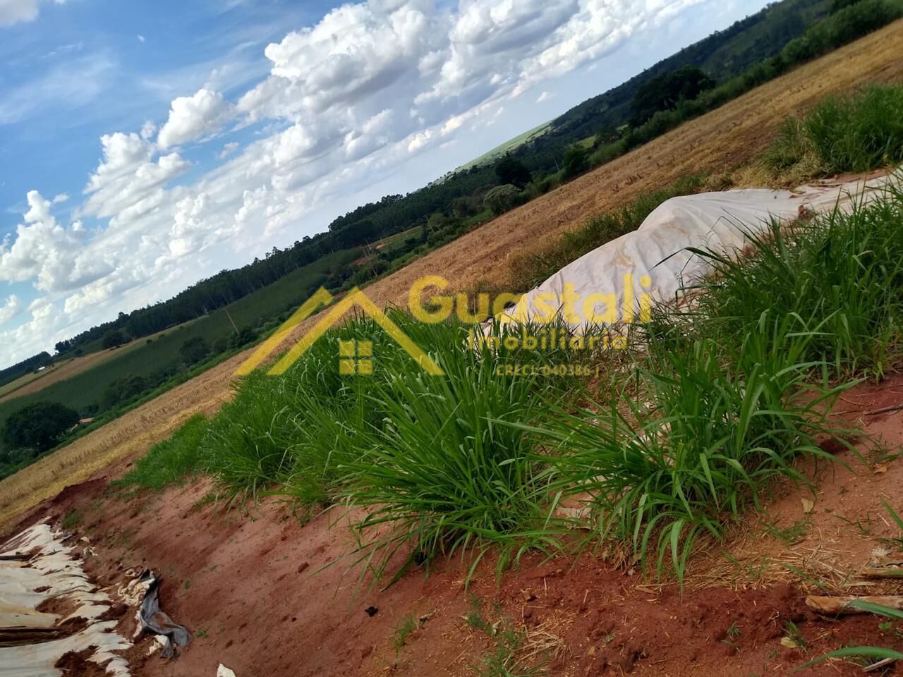 Chácara à venda com 2 quartos, 48000m² - Foto 25