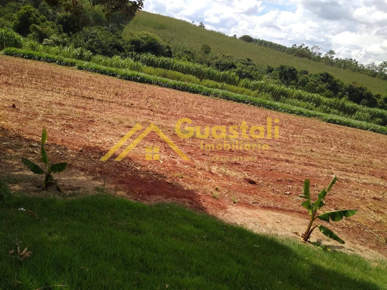 Chácara à venda com 2 quartos, 48000m² - Foto 28