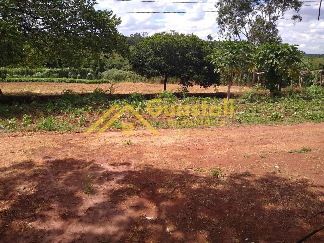 Chácara à venda com 2 quartos, 48000m² - Foto 26