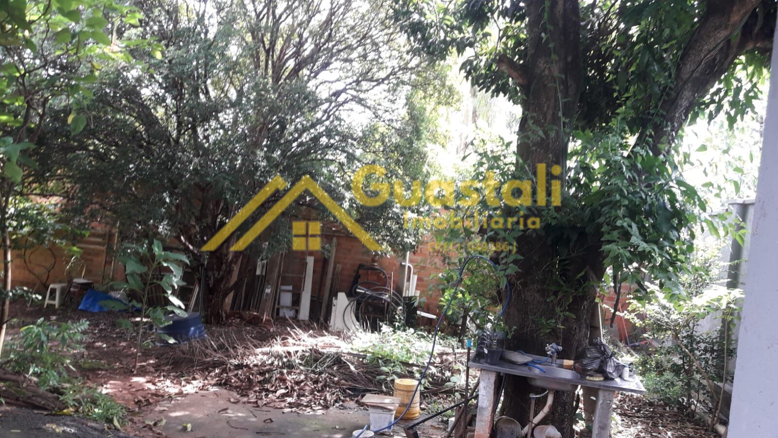 Fazenda à venda com 2 quartos, 1000m² - Foto 19