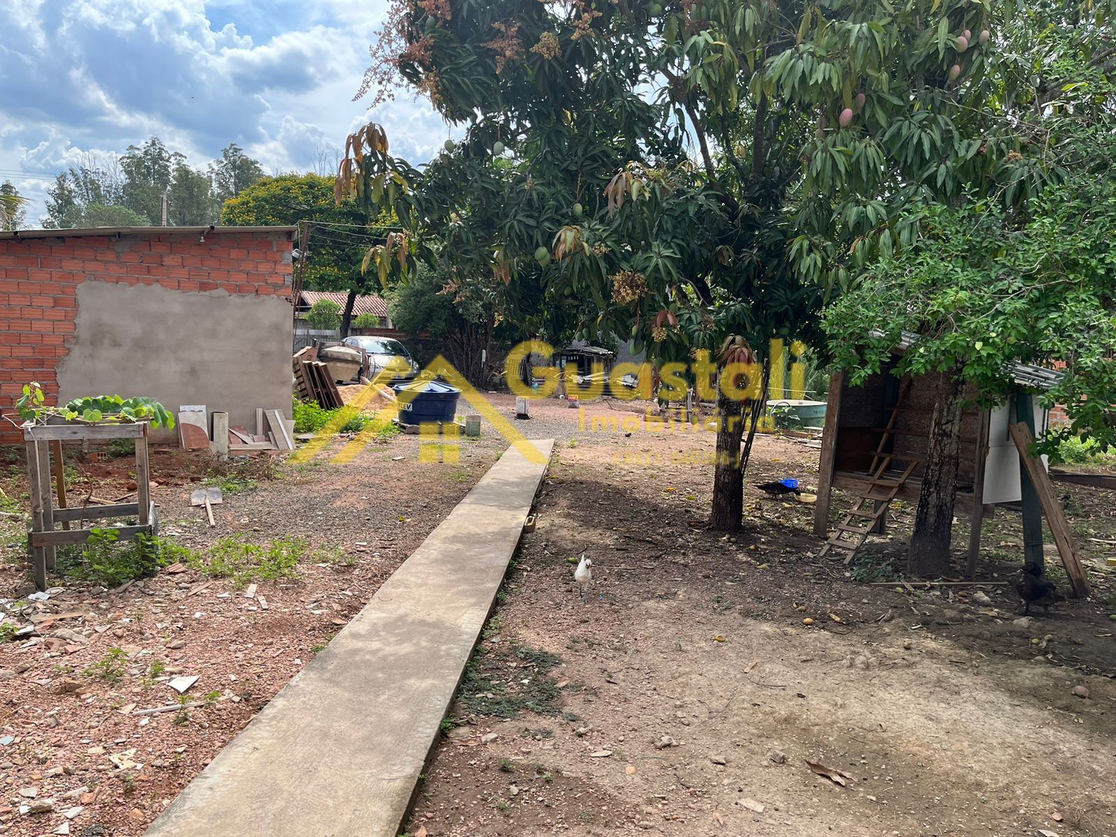 Fazenda à venda com 3 quartos, 1000m² - Foto 16