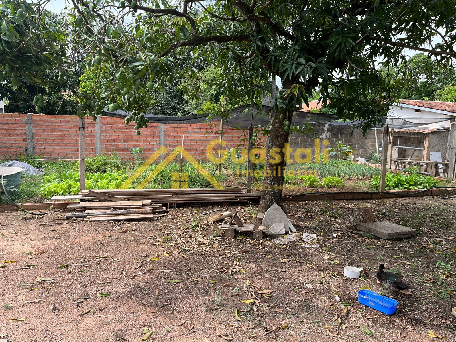 Fazenda à venda com 3 quartos, 1000m² - Foto 15